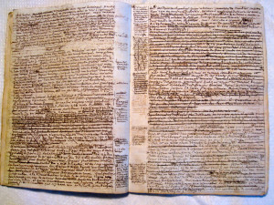 9_Pompéi, 7 novembre 1775. Extrait du 8e cahier des Éphémérides de Latapie